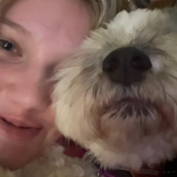 Meet your Posher, Maddie - Picture 1 of 1